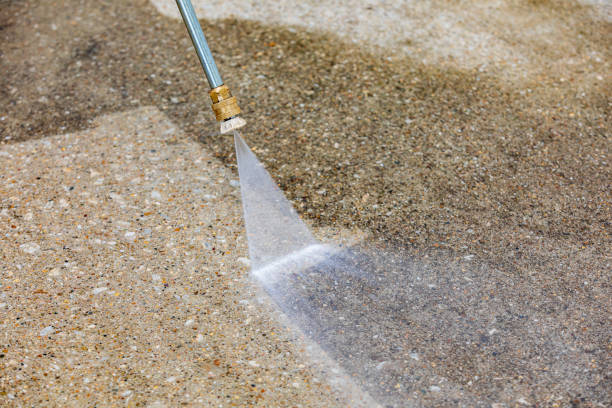 Best Driveway Pressure Washing  in Alamo, GA
